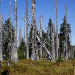 Abgebrochen und abgestützt