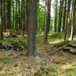 Vielleicht auch eine Wüstung