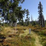 Wo ist jetzt der Pfad nach rechts?