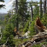 Reichlich Bruchmaterial Reichlich Bruchmaterial