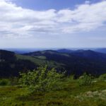 8 minus 1 Tausender (auf dem einen stehen wir ja gerade) 8 minus 1 Tausender (auf dem einen stehen wir ja gerade)