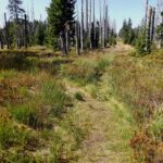 Ach, schon vorbeigelaufen