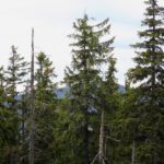 So viel sieht man vom Boubín