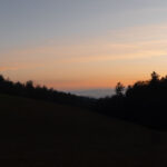 Einfach nur genießen