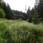 ...und das dazugehörige Jagdgebiet