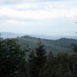 Auf die beiden wollte ich eigentlich vor drei Wochen Auf die beiden wollte ich eigentlich vor drei Wochen