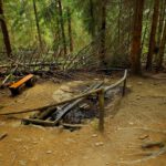 Die Quelle in der Übersicht