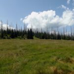 Kirchlinger Stand Kirchlinger Stand