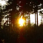 Ich kann es ja doch noch!