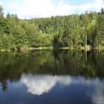 Windspiel in der Martinsklause