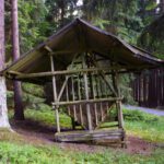 Wildfütterung in Bayern (auch im Sommer mit Inhalt)