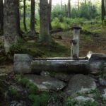 Gleich oberhalb dieses Brunnens zweigt der Wildererpfad ab Gleich oberhalb dieses Brunnens zweigt der Wildererpfad ab