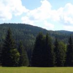 Der Dřevěná hůl wird noch eine Zeitlang im Blickfeld bleiben