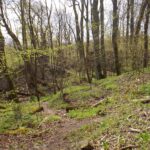 Im Burghof Im Burghof