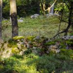 Ja, das ist eine Wüstung