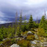 Kommt jetzt von Spiegelau auch noch was rein?!? Kommt jetzt von Spiegelau auch noch was rein?!?