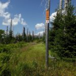 Nein, da darf man nicht weitergehen Nein, da darf man nicht weitergehen