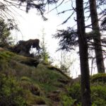 Kein Osseraufstieg ohne den Leibhaftigen Kein Osseraufstieg ohne den Leibhaftigen