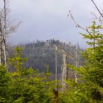 Lusenschutzhaus Lusenschutzhaus