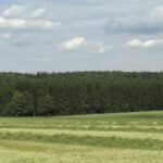 Panorama Richtung Schwangbühl