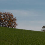 Über-die-Hanglinie-Gucker