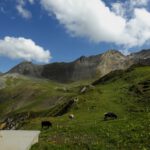 Der Weg zum Erlijoch