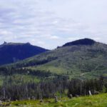 Zwei Brüder nebeneinander