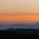 Im Wenzenbachtal auch nicht