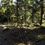 Ich hoffe schwer, dass das hier noch aufgeräumt wird!