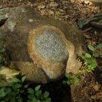 Ein anderes Farbspiel