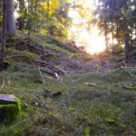 Aber untenrum geht es, sogar mit Sonnensitz