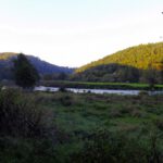 Die Schatten wachsen und steigen