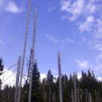 So müsste es bleiben! So müsste es bleiben!