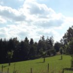 Streuobst zum Zweiten