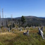 Erster guter Blick zum Plattenhausriegel