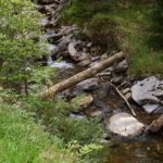 Mausbrücke Mausbrücke