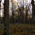 Alles (fast) im Lot Alles (fast) im Lot