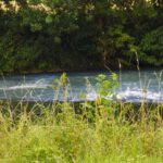 Richtiges Geplätscher