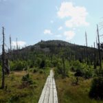 Finsterauer Lusensteig Finsterauer Lusensteig