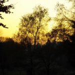 Letzte Sonnenstrahlen Letzte Sonnenstrahlen