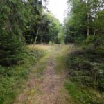 Gipfelbereich Troidelberg Gipfelbereich Troidelberg