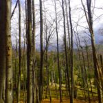 Tut es aber leider nicht Tut es aber leider nicht