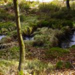 Das hindert mich aber nicht daran, die Schönheiten des obersten Sagwassertals fotografisch festzuhalten Das hindert mich aber nicht daran, die Schönheiten des obersten Sagwassertals fotografisch festzuhalten