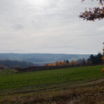 Hinter diesem Rücken versteckt sich Regensburg