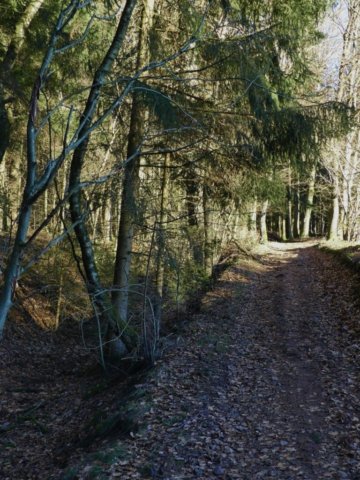 Keine Tour ohne Hohlweg