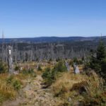 Das böhmische Panorama wirkt längst nicht mehr bedrückend auf mich wie vor fünf Jahren