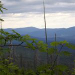 Dort drüben war ich gestern