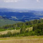 Im Hintergrund lässt sich der Plöckenstein erahnen