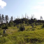 Hüttenfelsen von Norden