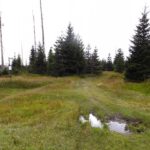 Der Weg nach Frantův most darf zwar im Moment begangen werden, ist aber nicht ganz leicht trocken zu erreichen